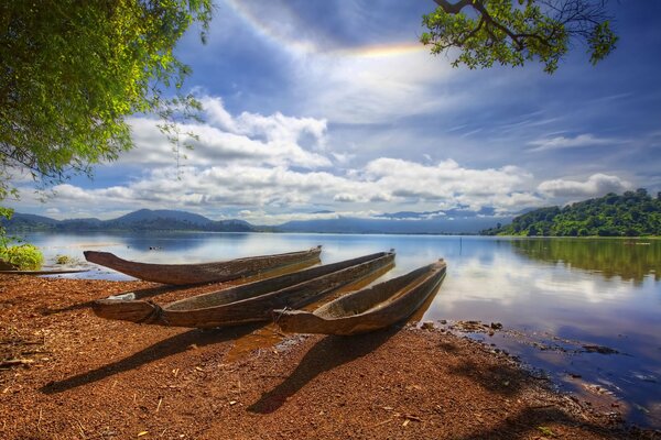 Trois bateaux de troncs d arbres sur le rivage