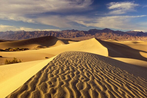 Desert landscape with mountains on the horizon