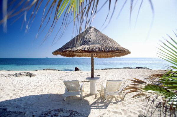 Beach, white sand, palm trees. There are two sun beds under the umbrella