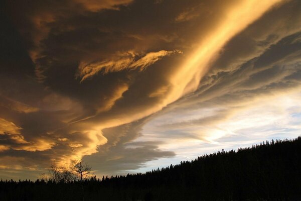 Ordre sur les forêts, nature nuages