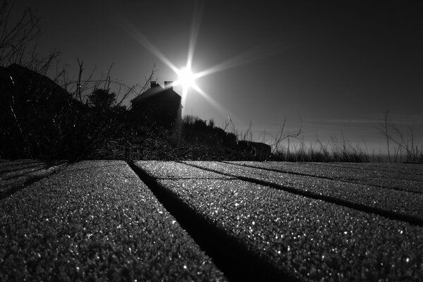 Camino a casa bajo el sol