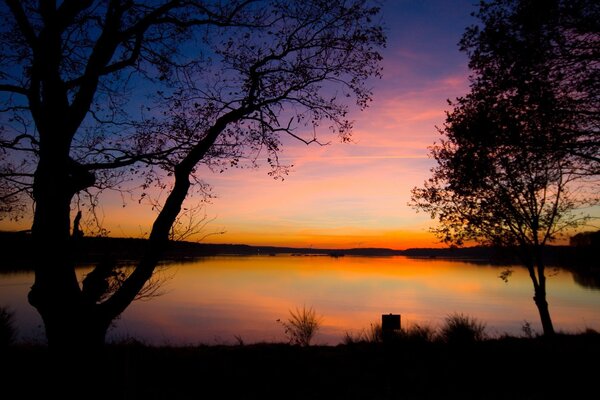 El lago y los árboles en el fondo de la puesta de sol de la tarde