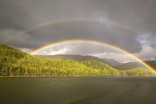 Arco iris doble sobre un cuerpo de agua en el bosque