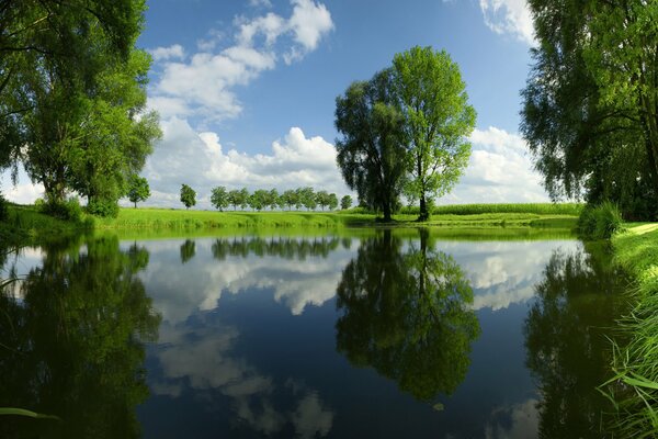 Rivière avec nature colorée