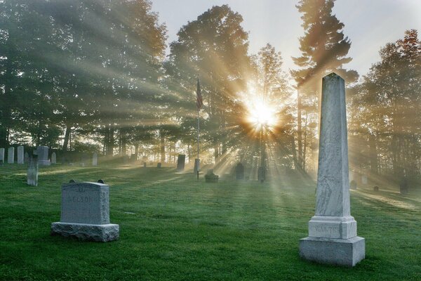The rays of the sun in the cemetery in the forest