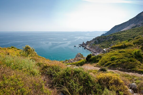 Dzika górska przyroda na tle oceanu