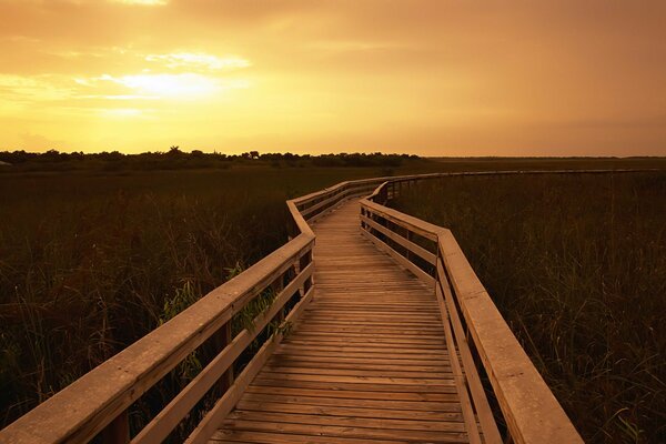 Marches en bois sur fond de nature. paysage