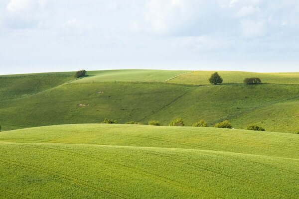 Landschaft grünes hügeliges Feld