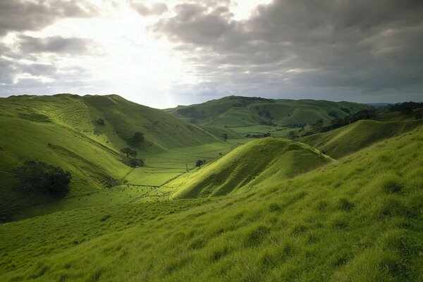 Зелёные холмы с лугом и травой
