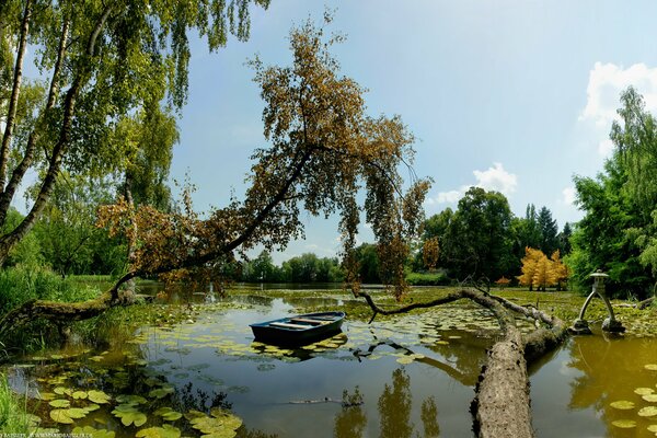 Bateau au milieu du lac et des arbres verts