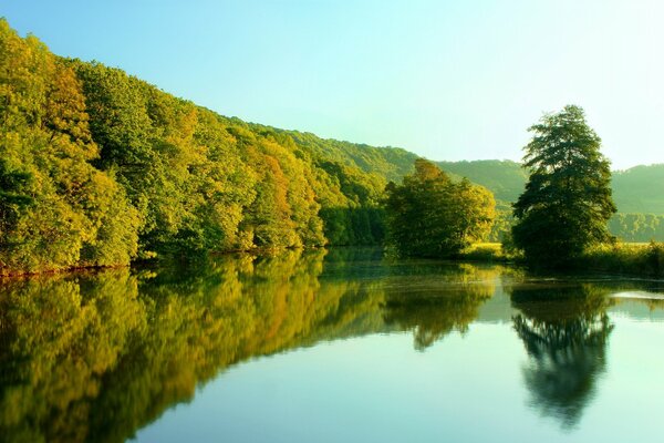 Ein Fluss inmitten eines Waldes mit reflektierendem Himmel