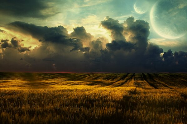 Wheat field at sunset through the clouds