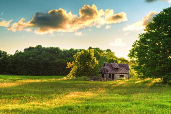 Casa su una radura verde su uno sfondo di alberi