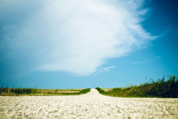 Una lunga strada nella steppa estiva