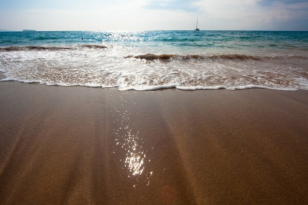 Sea surf on a sandy beach