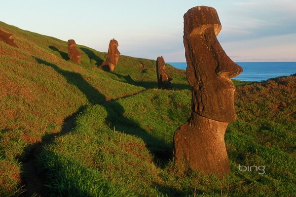 Totemstatuen im Feld