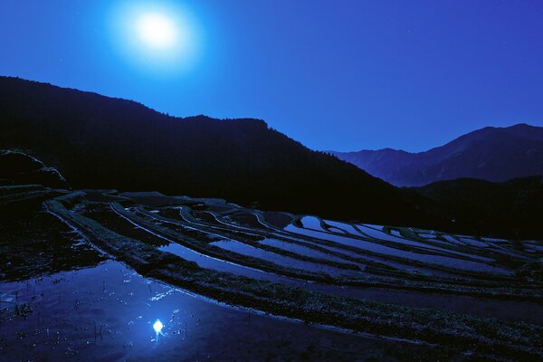 La Luna ilumina el campo de arroz