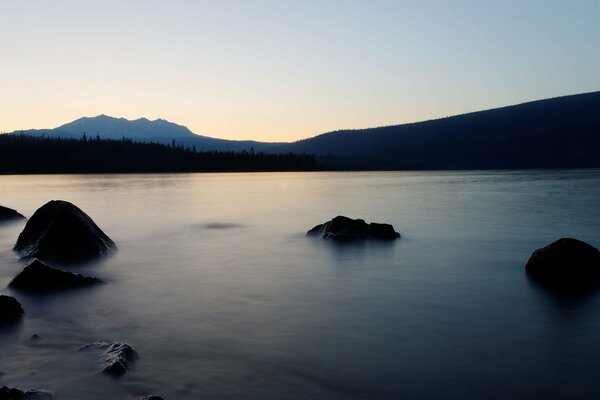 A calm lake in the middle of the forest