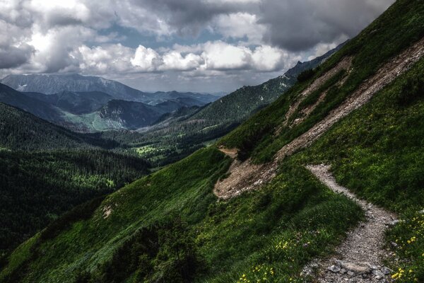 Grandes montagnes couvertes de verdure fabuleuse