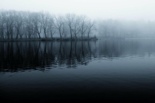 Fog and coolness on the river bank