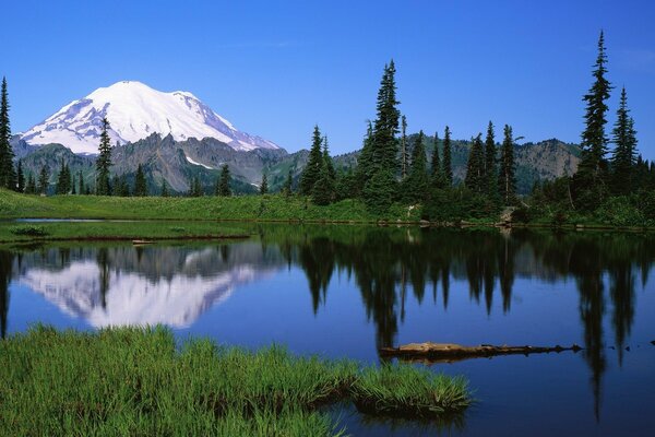 Mountain landscape reflected in the river