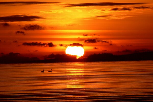 Red orange background of water and sky with the sun