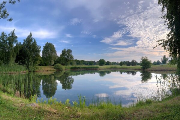 Un lago en el bosque y las nubes que se reflejan en este lago