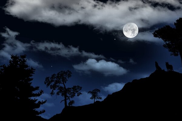 Paesaggio notturno. Luna piena. Lupi notturni