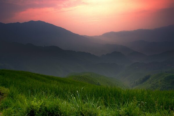 Champs verts et montagnes en Chine