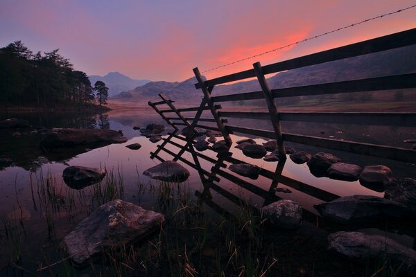 Puesta de sol rosa de la tarde del bosque. Río del bosque