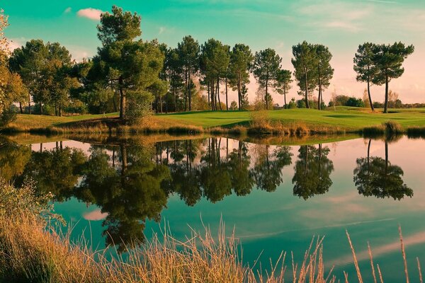 Bellissimo paesaggio con lago e foresta