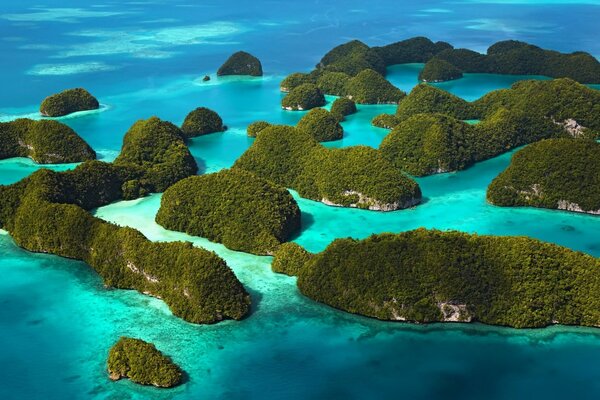 Green islands follow the ocean