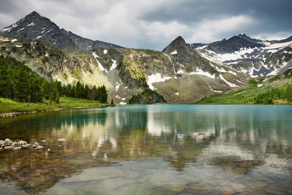 Paesaggio vivente di montagne e foreste