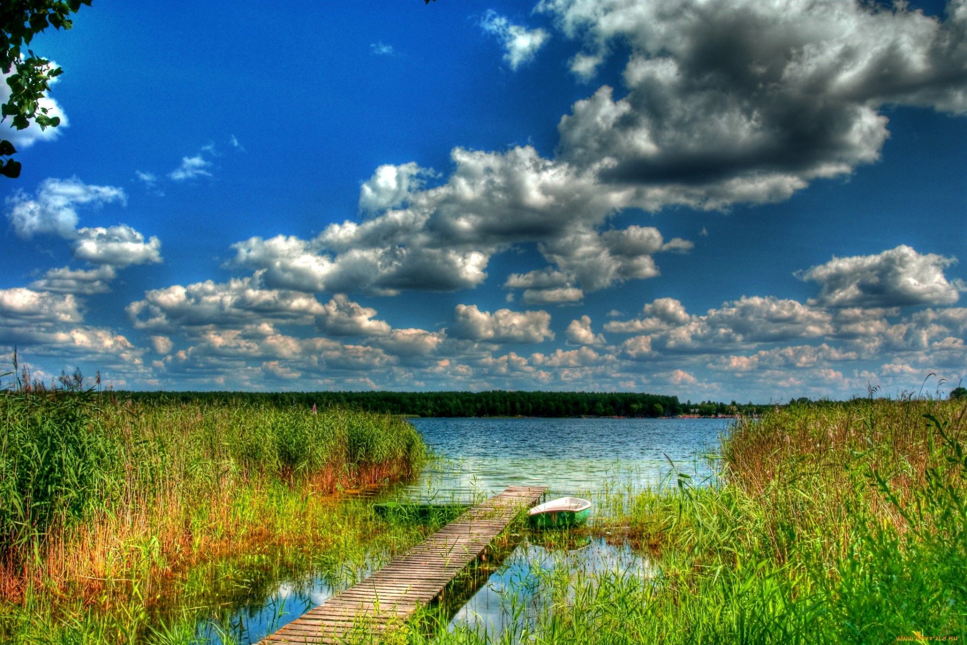 cielo nuvole fiume foresta ponte barca ristagno