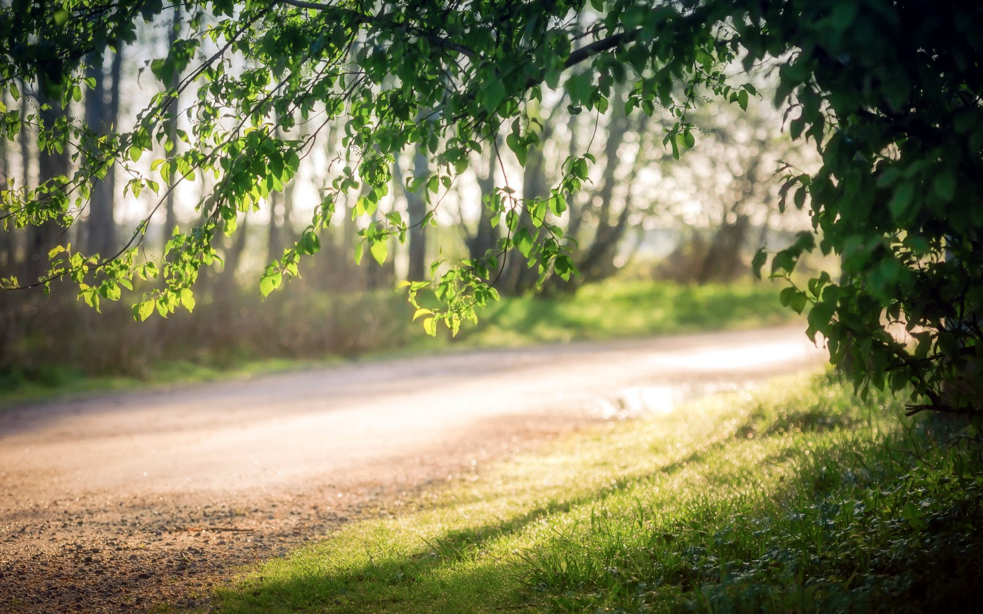 route matin nature