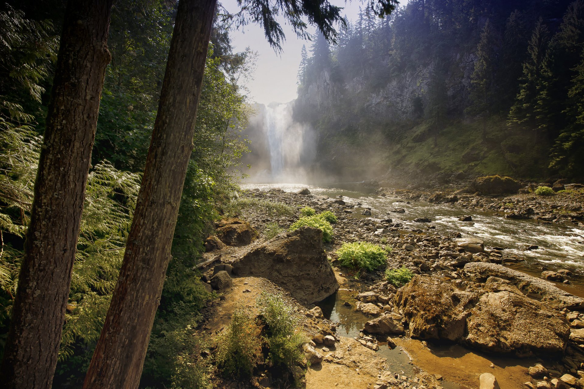 forest river tree stones waterfall