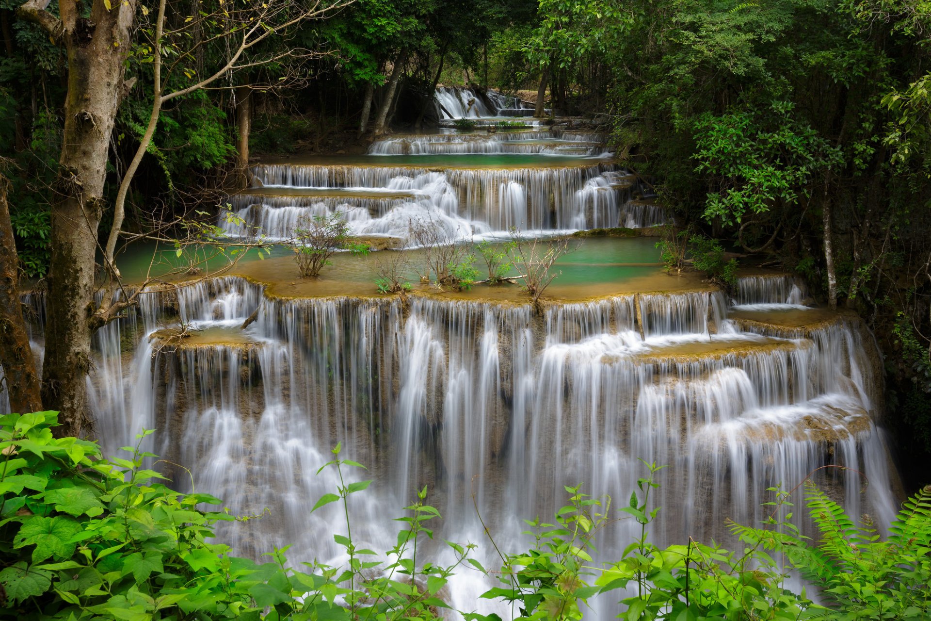 foresta cascata cascata fiume flusso boschetti alberi