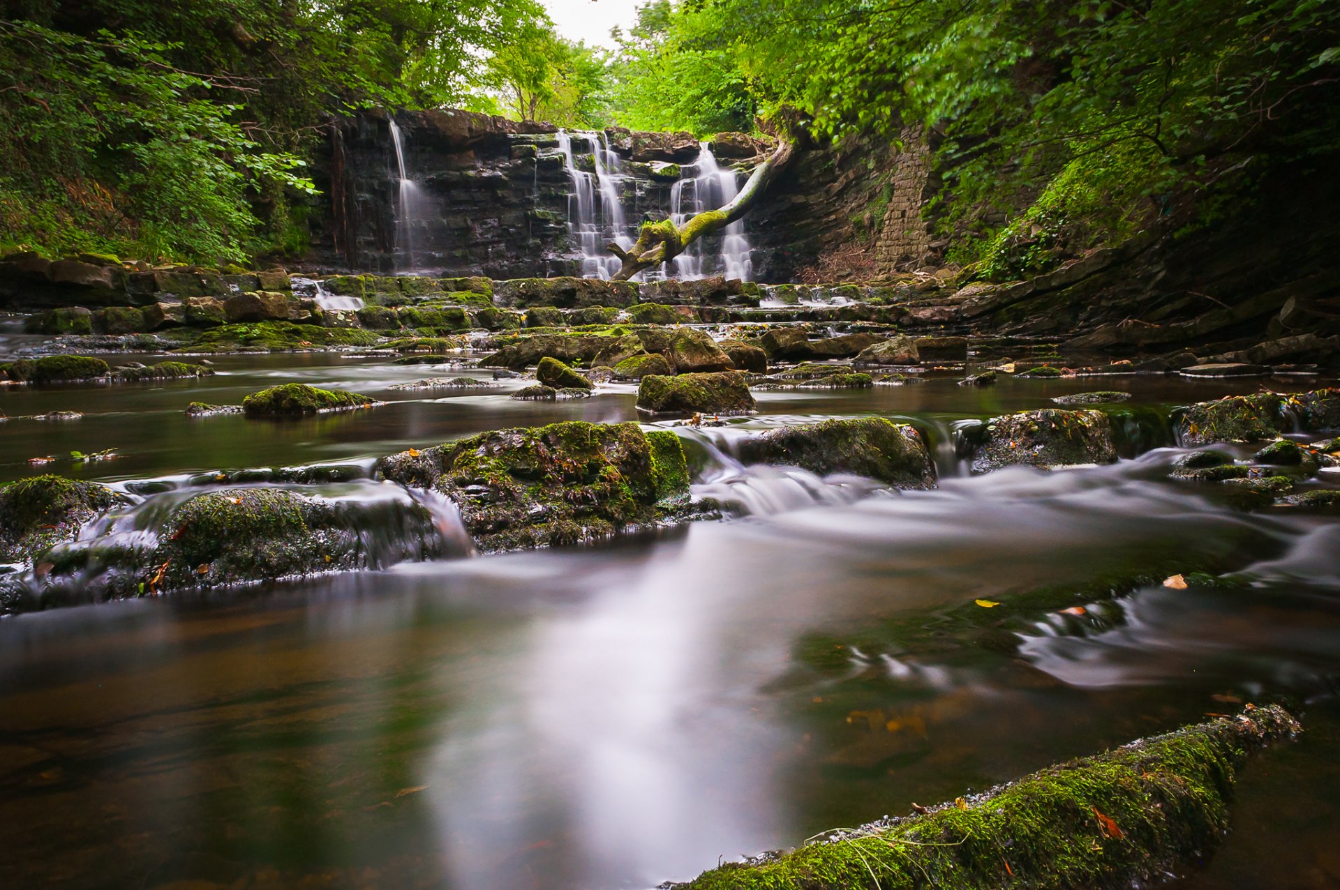 foresta rocce fiume flusso cascata alberi pietre
