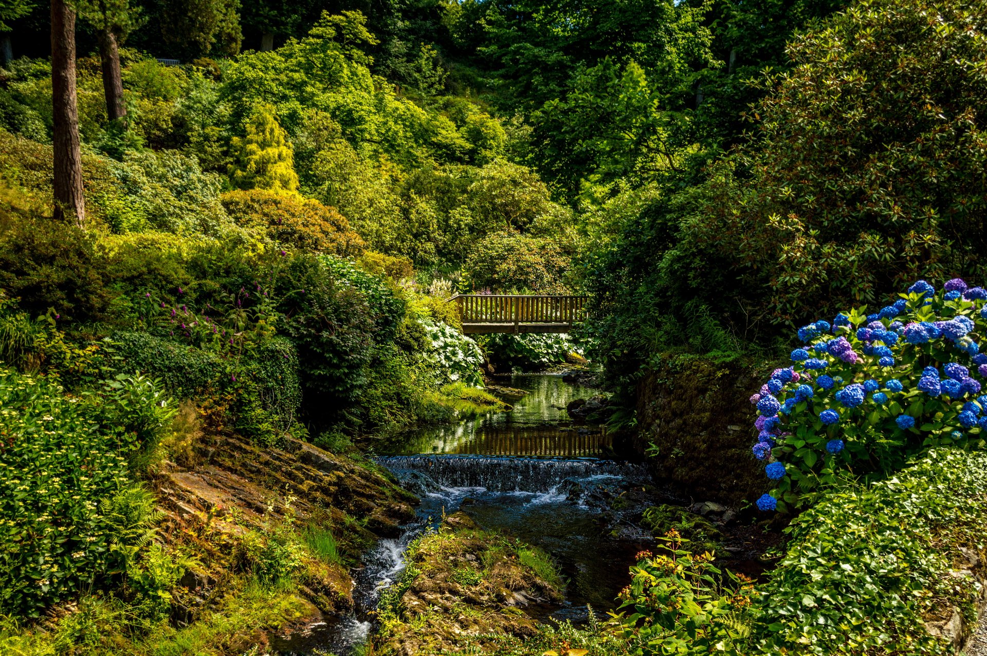 reino unido bodnant jardines gales parque vegetación arbustos árboles arroyo puente