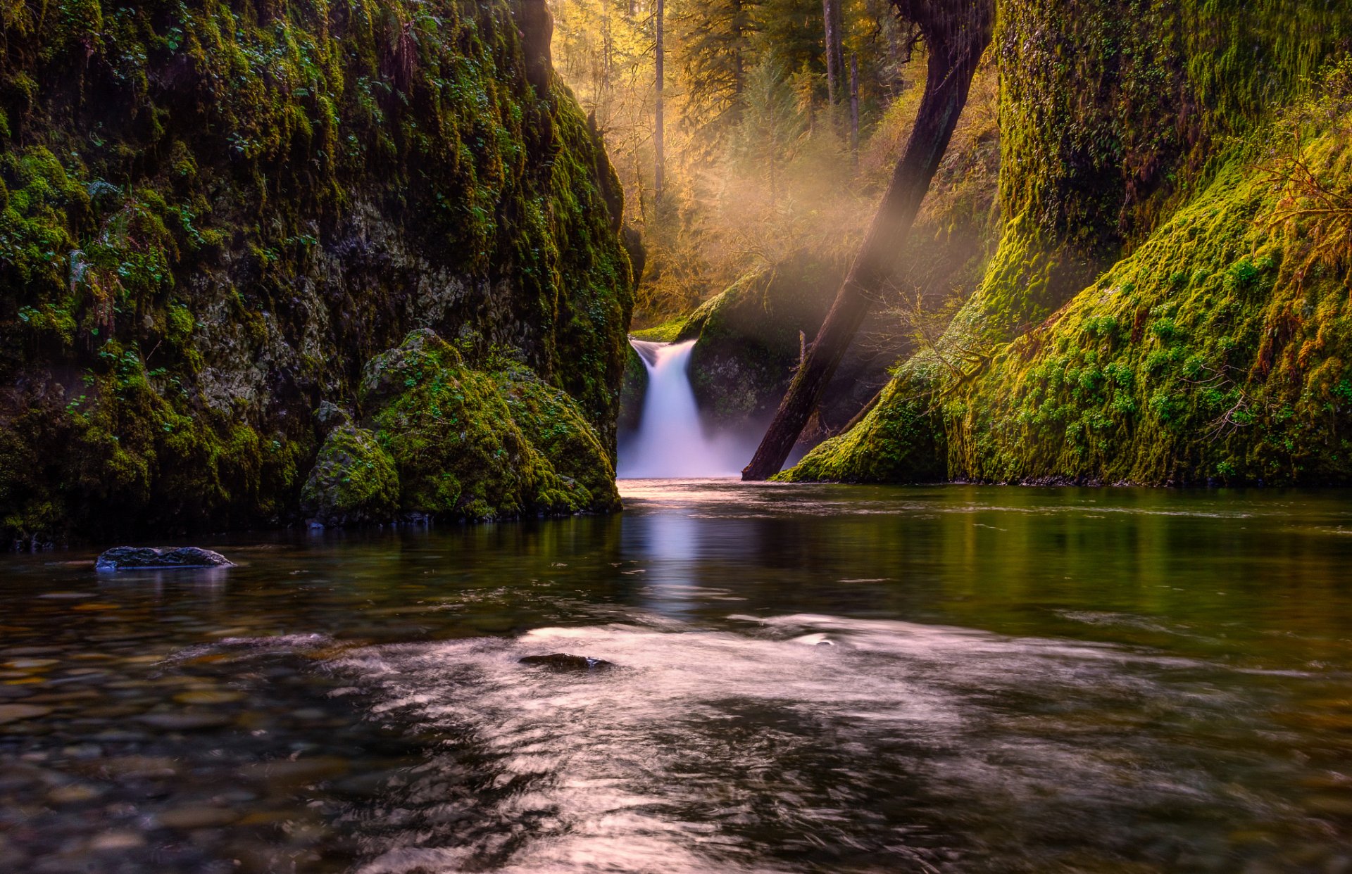 cascata foresta natura lago alberi fiume