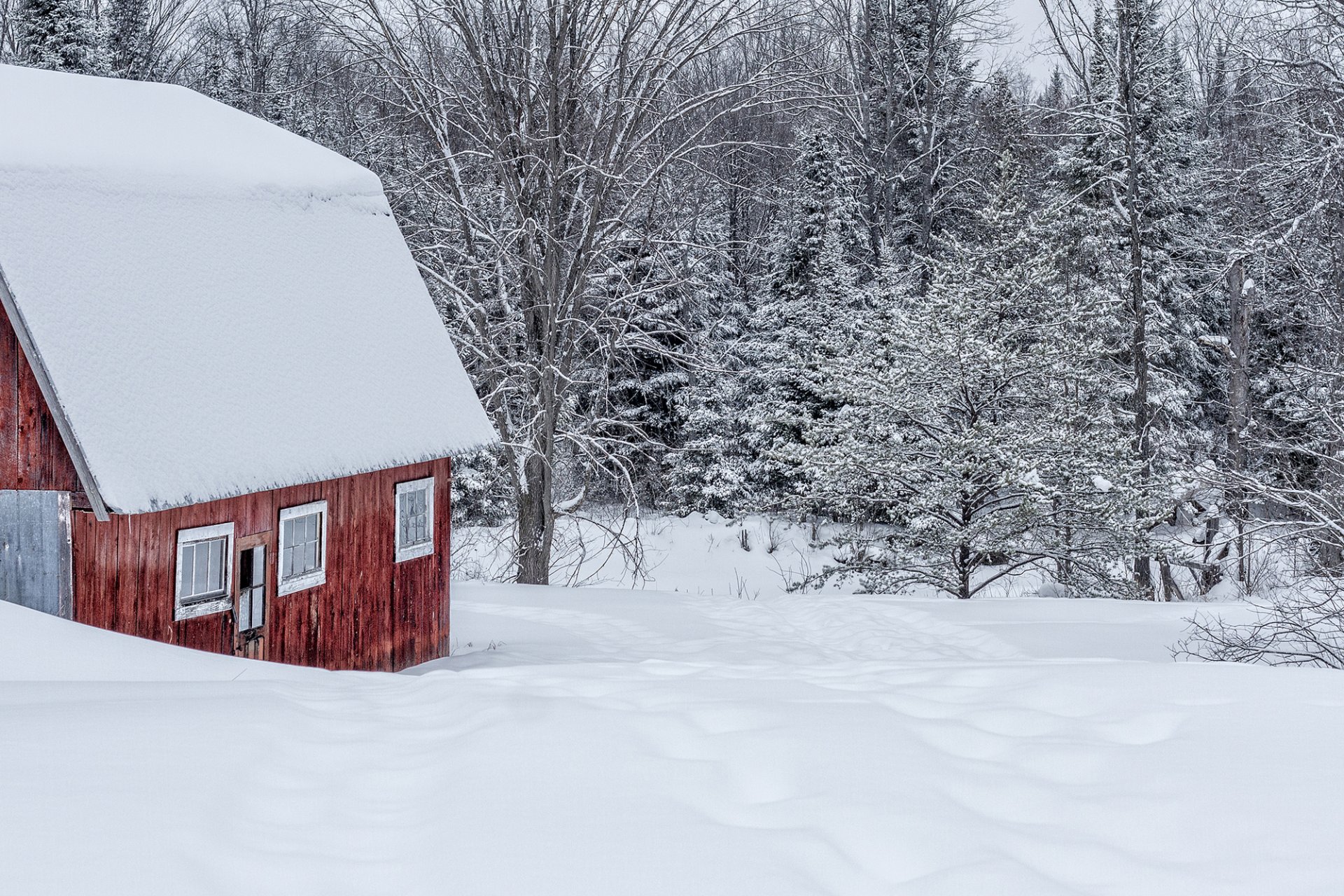 house building snow winter forest tree nature