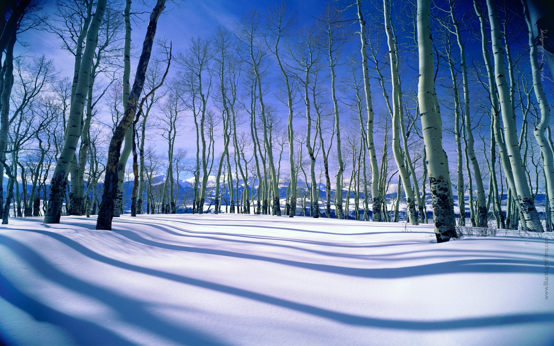 ciel montagnes arbres hiver neige