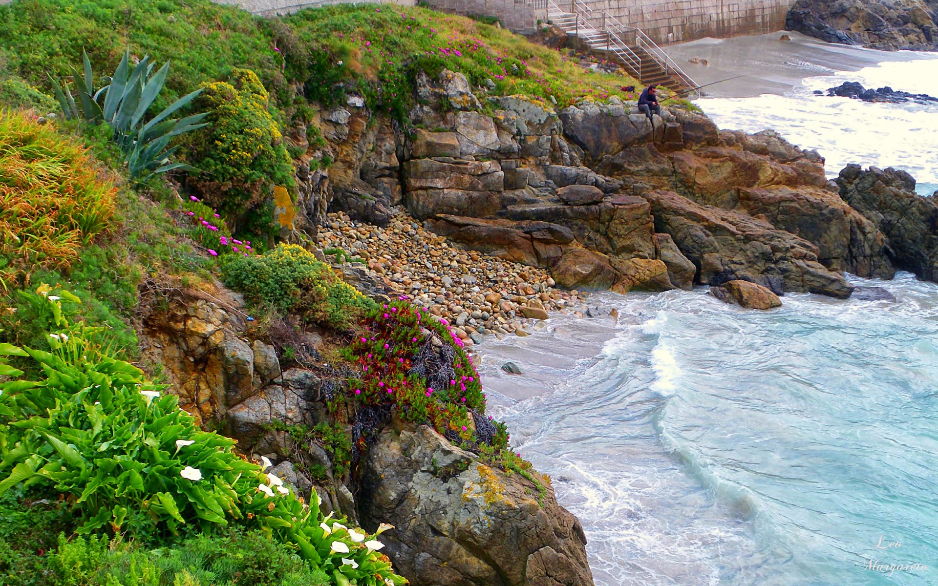 spanien küste pflanzen blumen büsche fischer meer steine