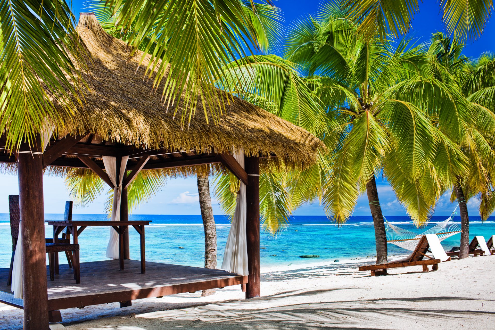 strand meer im sommer laube ufer palme sommer urlaub