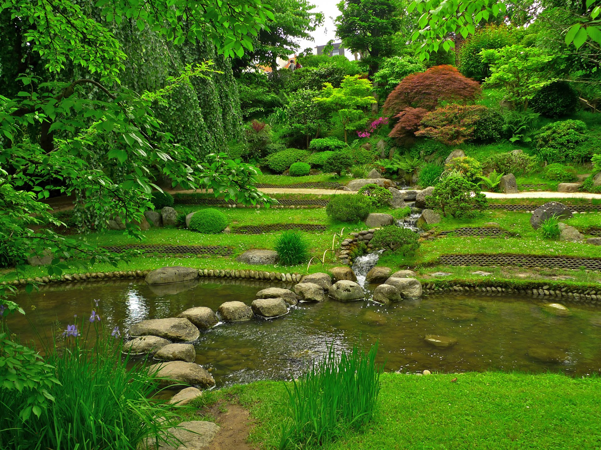 frankreich albert kahn japanische gärten garten steine teich gras grün bäume büsche zweige.blätter