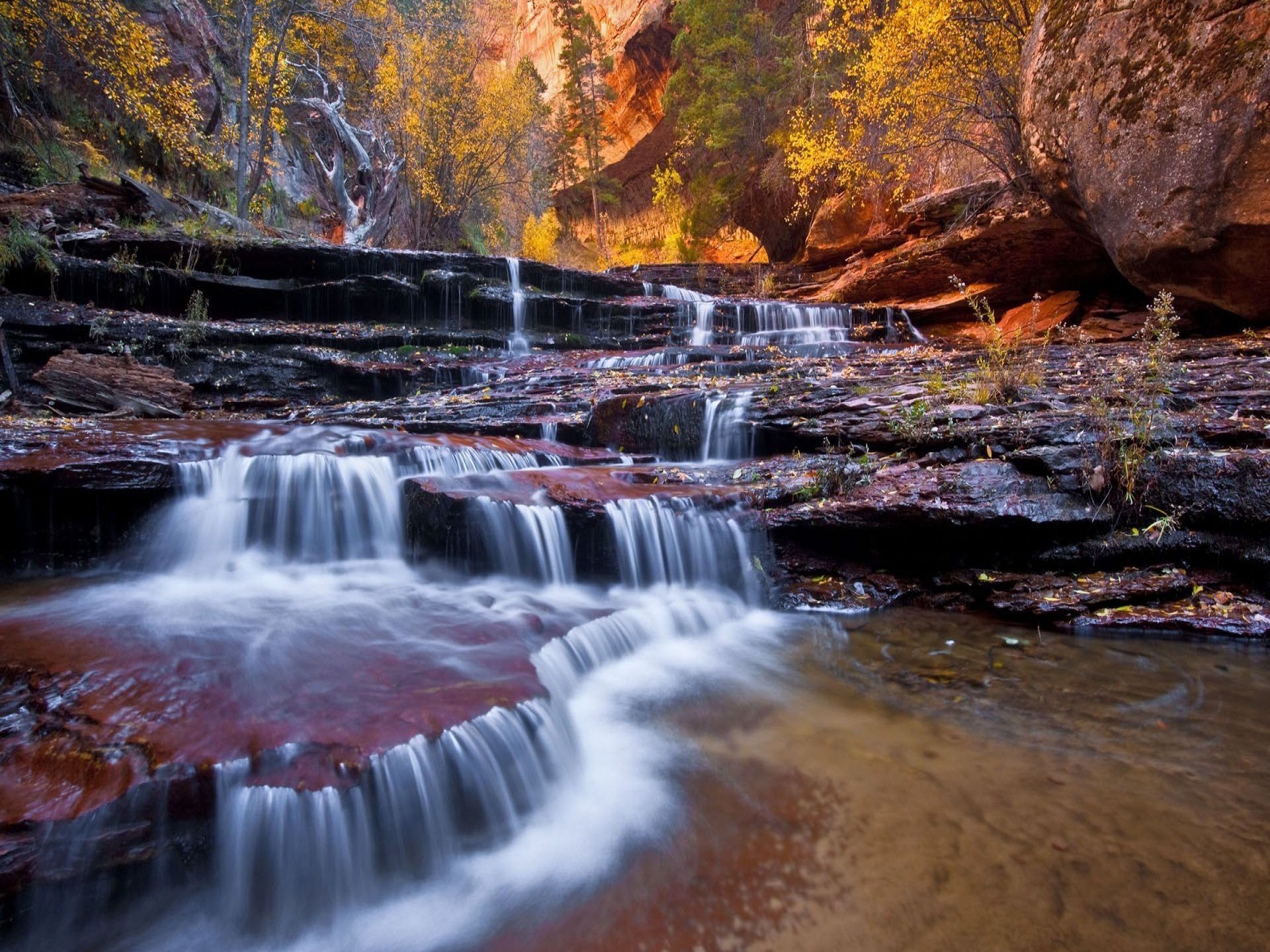 rivière cascade nature paysage automne roches