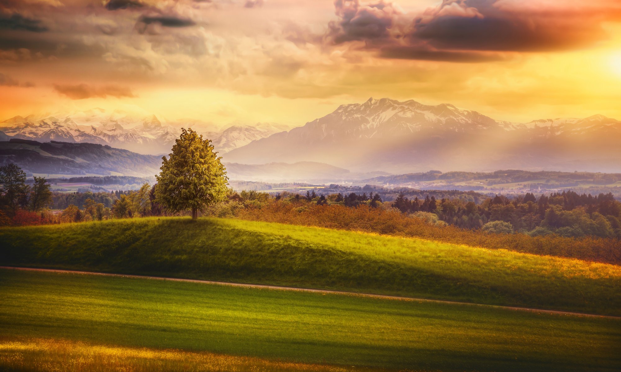 irgendwo schweiz baum berge wald himmel wolken verarbeitung