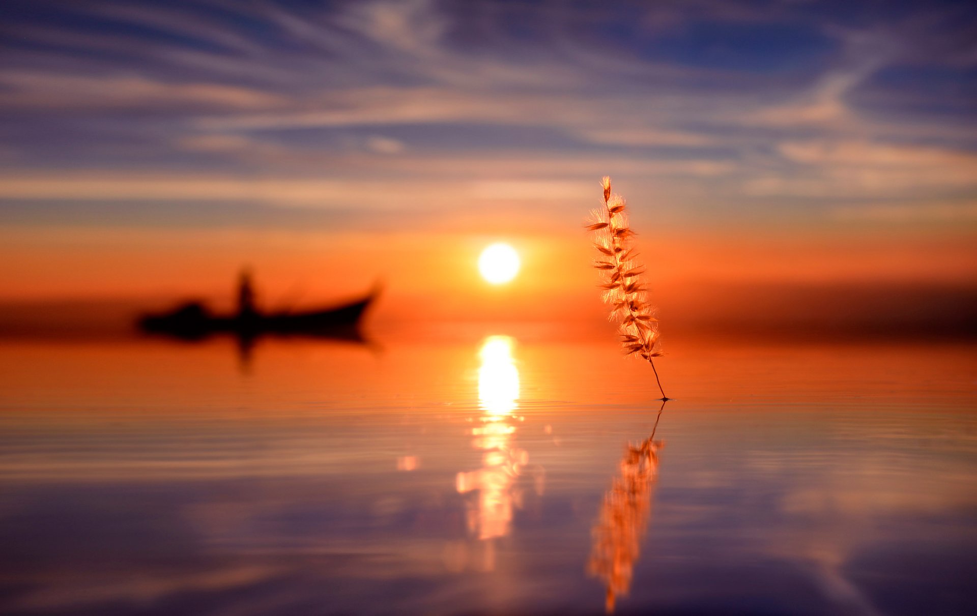 eau bateau silhouette brin d herbe soleil réflexion
