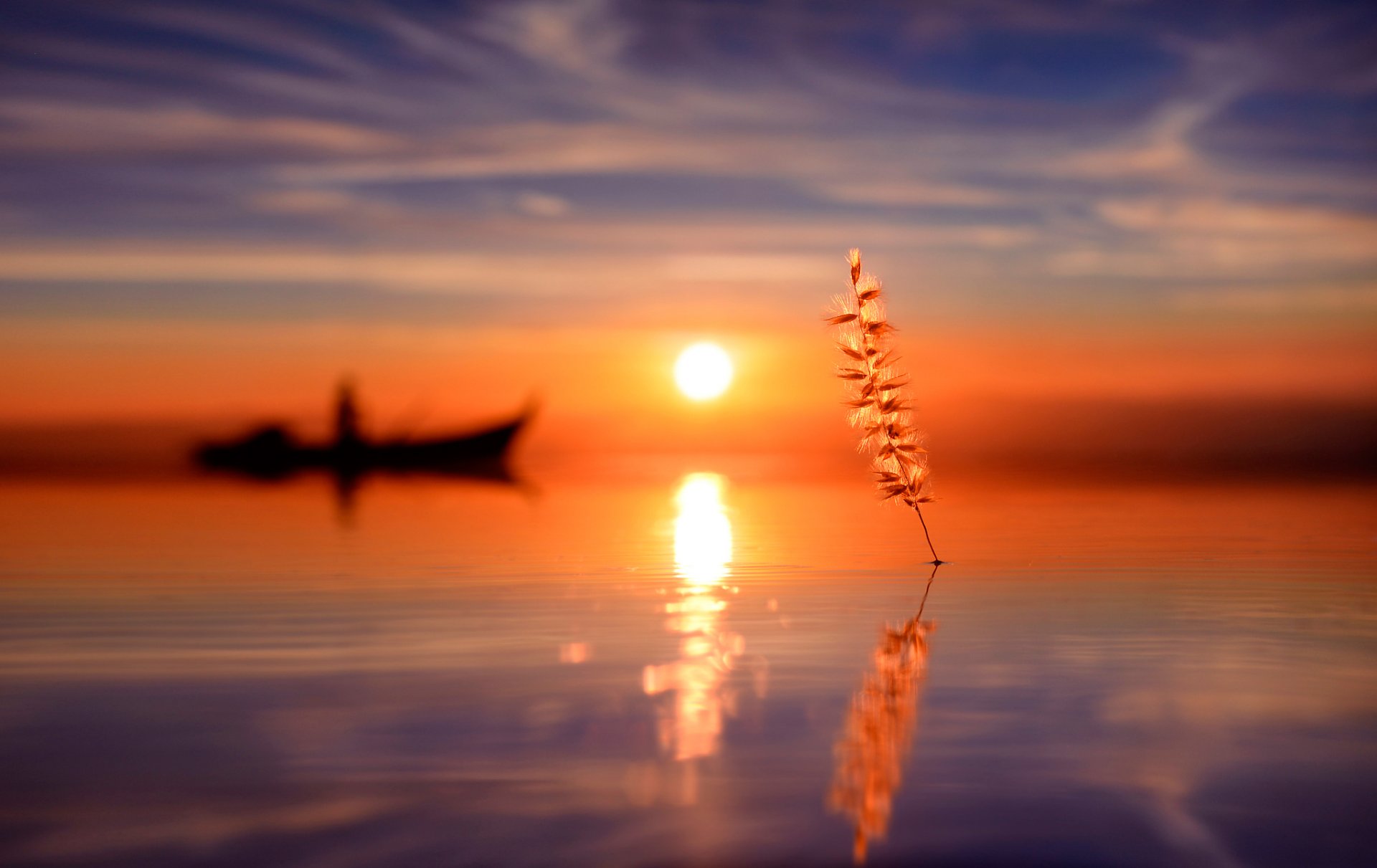 wasser boot silhouette gras sonne reflexion