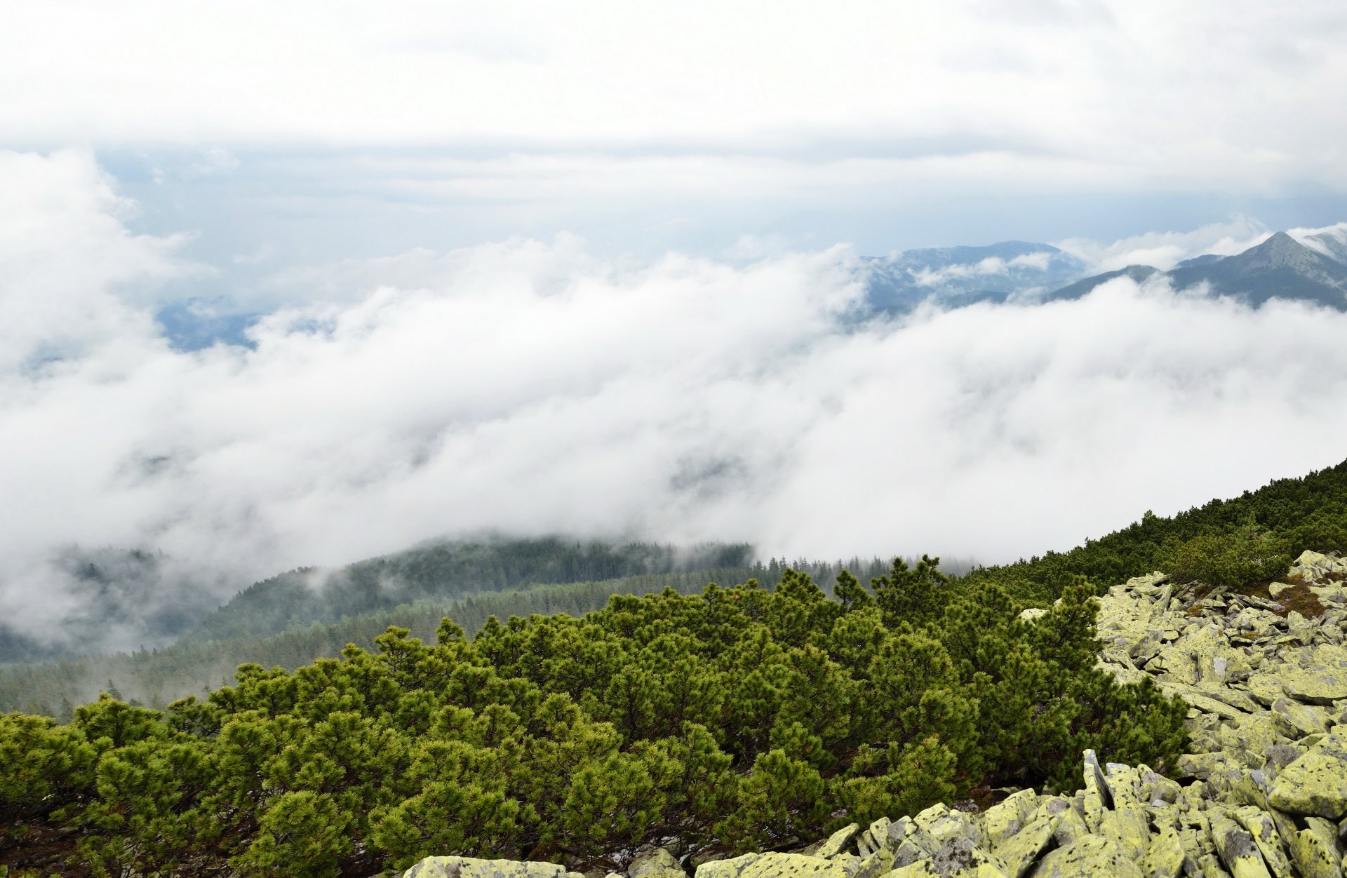 paysage ukraine transcarpatie nuages montagnes arbuste pierres nature